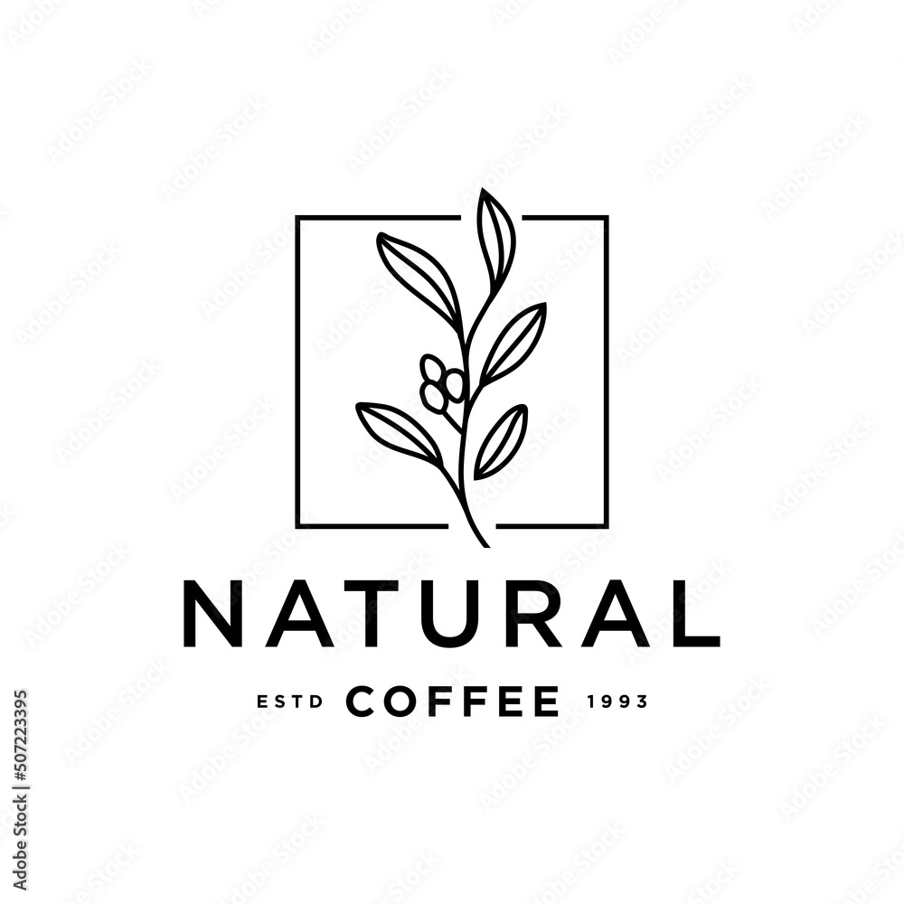 natural coffee logo concept, coffee bean plant branch hipster minimal logo vector with leaf simple line outline icon for natural cafe concept. natural coffee logo concept, coffee bean plant branch hipster minimal logo vector with leaf simple line outline icon for natural cafe concept.