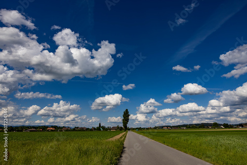 landstrasse in rüdtligen im sommer mit blauem himmel