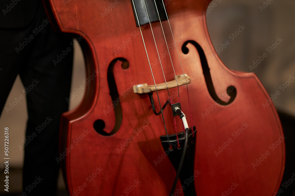 double bass close-up, double bass details. musician plays double bass on stage, close-up double bass close-up, double bass details. musician plays double bass on stage, close-up