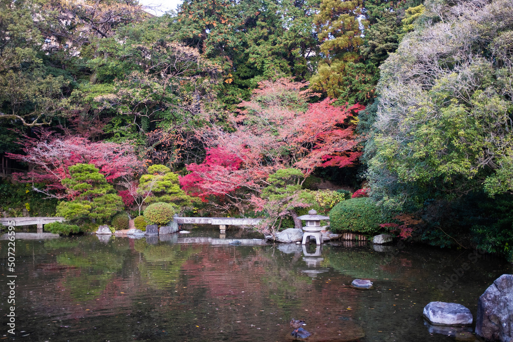 日本庭園　秋