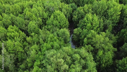 Aerial video view of Mangrove forest in Aceh province, Indonesia photo