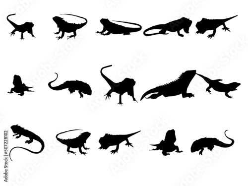 Iguana Vector Vectors High Resolution. Iguana black sign stock vector. Iguana Vector. Iguana Images