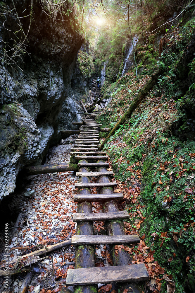 Wooden staircase in a deep wild mountain gorge. Take it in The National Park of Slovensky raj, Slovakia - obrazy, fototapety, plakaty 