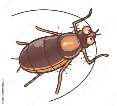 Cartoon cockroach nymph isolated