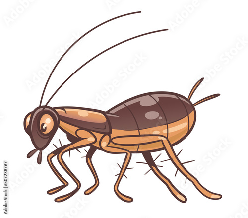 Cartoon small cockroach on the white background vector illustration. 