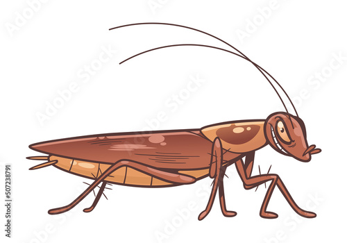 Cartoon cockroach on the white background vector illustration. 