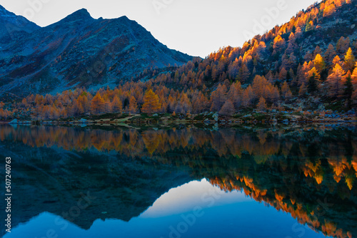 Amazing reflections of red leaves trees over Lake Arpy in the Alps of Aosta Valley Italy