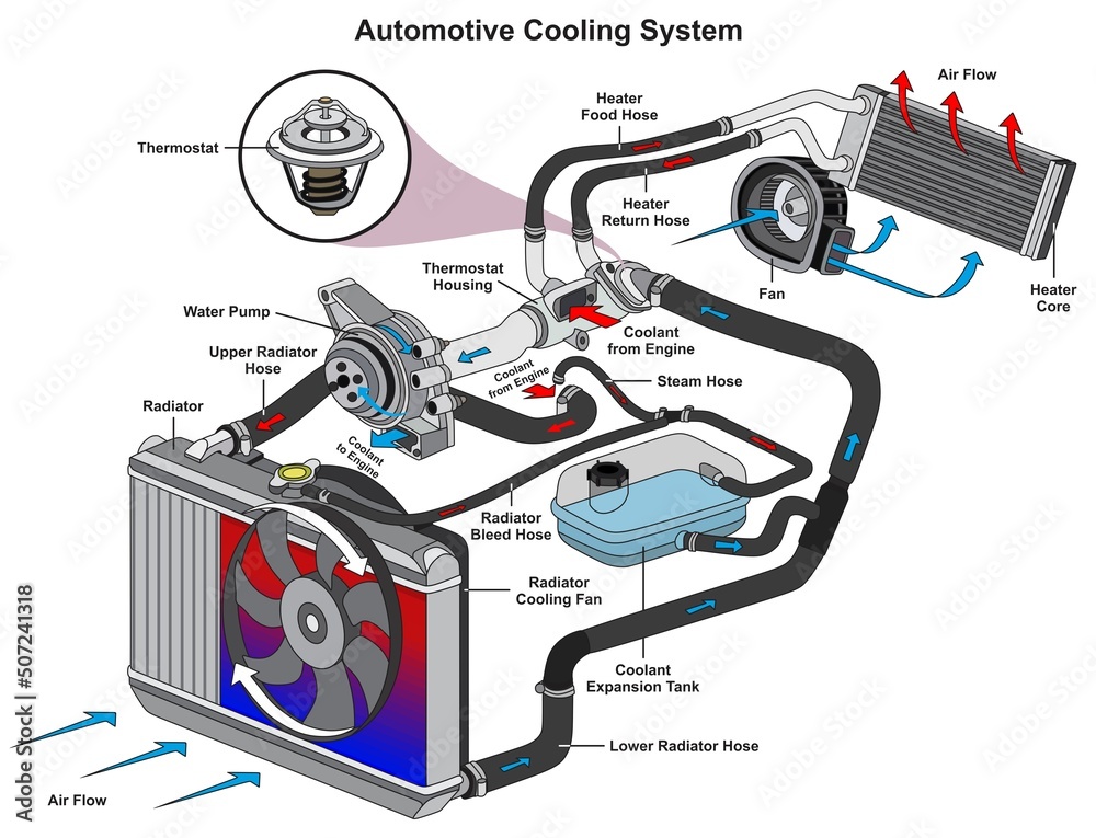 Automotive car cooling system infographic diagram mechanics dynamics