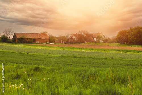 Green meadow besides small village.Agricultural landscape.