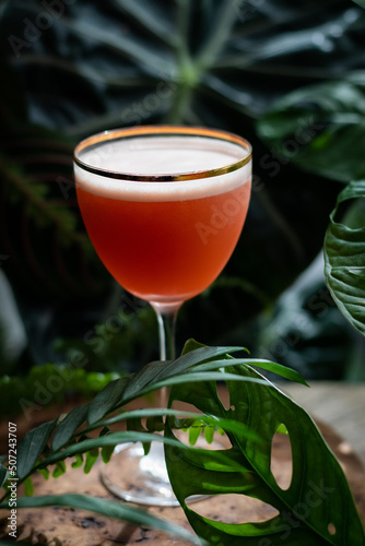 Red cocktail in Nick and Nora glass with wood and plants background