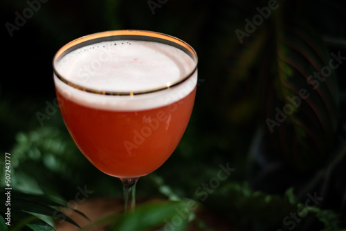Red cocktail in Nick and Nora glass with wood and plants background