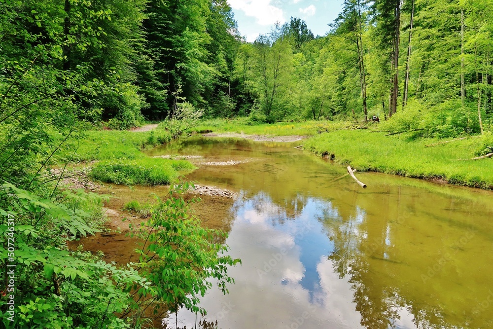 Wildromantische Wissbachschlucht, Ostschweiz Wildromantische Wissbachschlucht, Ostschweiz
