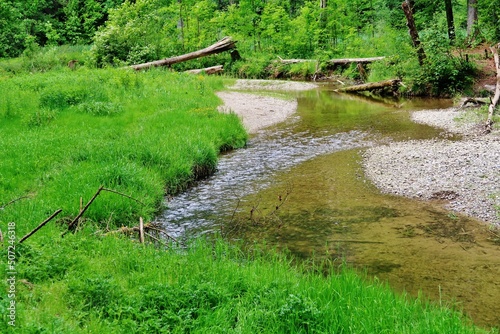 Cuadro en lienzo Bach durch die Wissbachschlucht, Ostschweiz