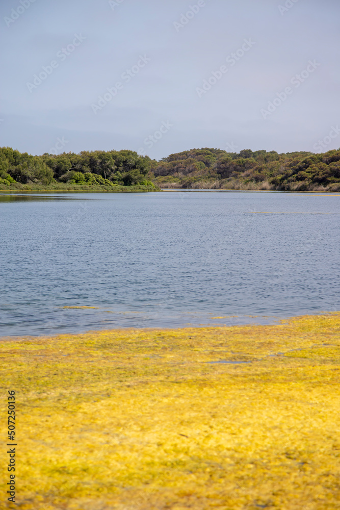 Lake Pujol bird protected area in Valencia