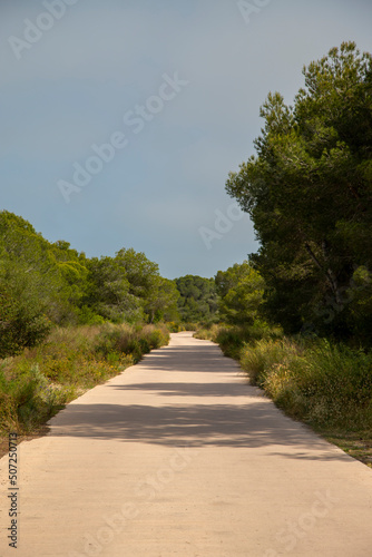 One of the walks through the protected area of l  Albufera of Valencia