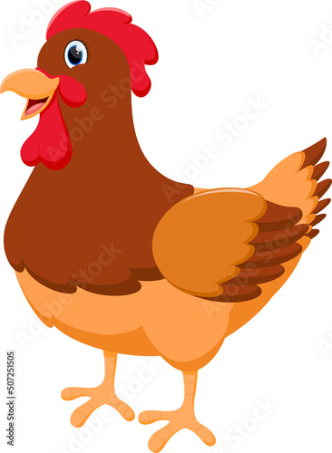 Chicken Cartoon funny hen 