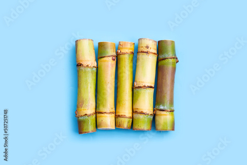 Sugar cane on blue background.