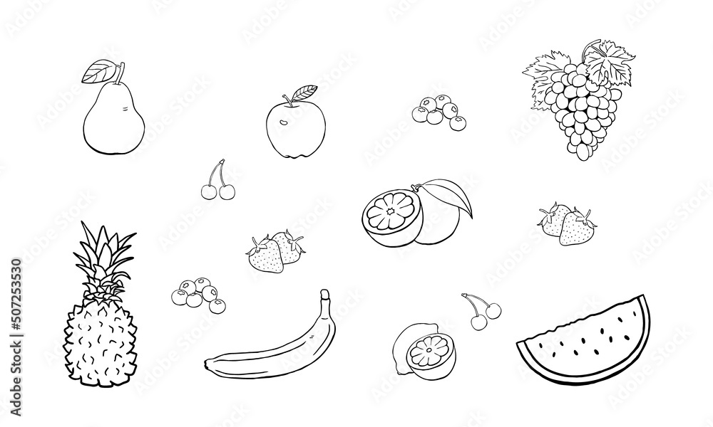 Hand Drawn Fruit illustration set, ink sketch vector drawing, Black and White Doodle style vector illustration Hand Drawn Fruit illustration set, ink sketch vector drawing, Black and White Doodle style vector illustration