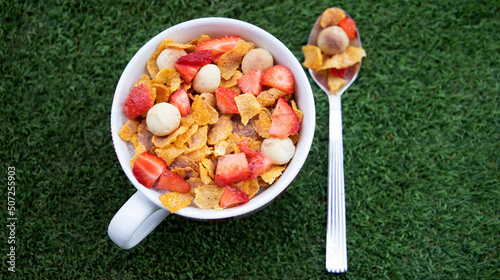 cereal bowl and spoon on grass background photo