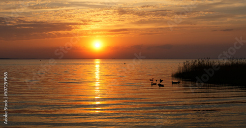 Müritz  
