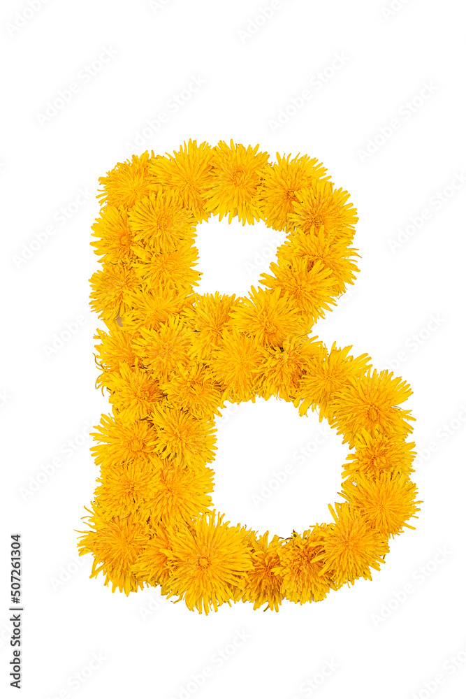 The English alphabet of dandelion flowers is isolated on a white background. Letter B The English alphabet of dandelion flowers is isolated on a white background. Letter B