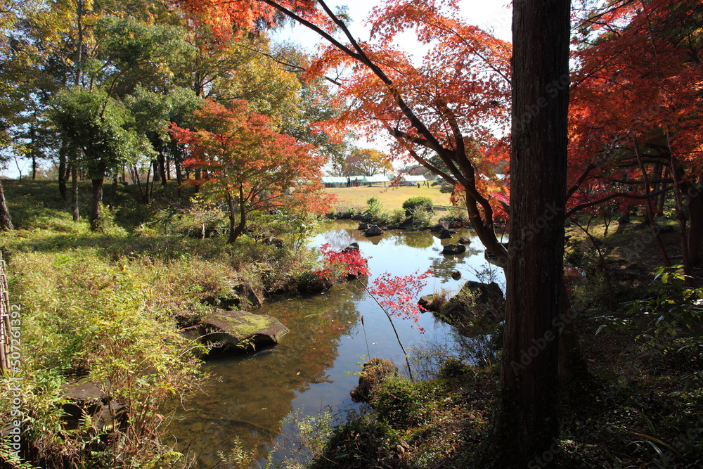 池の畔の紅葉