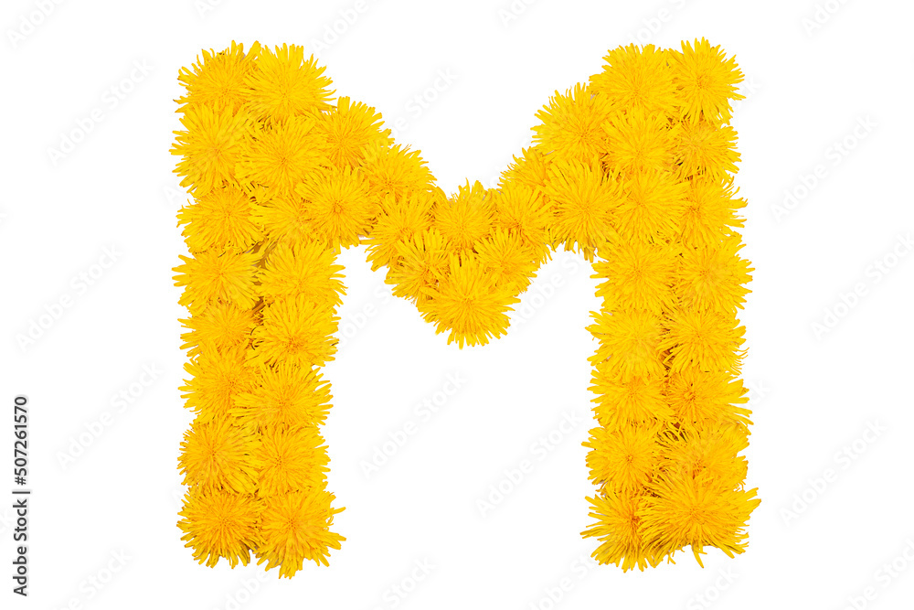 The English alphabet of dandelion flowers. Letter M