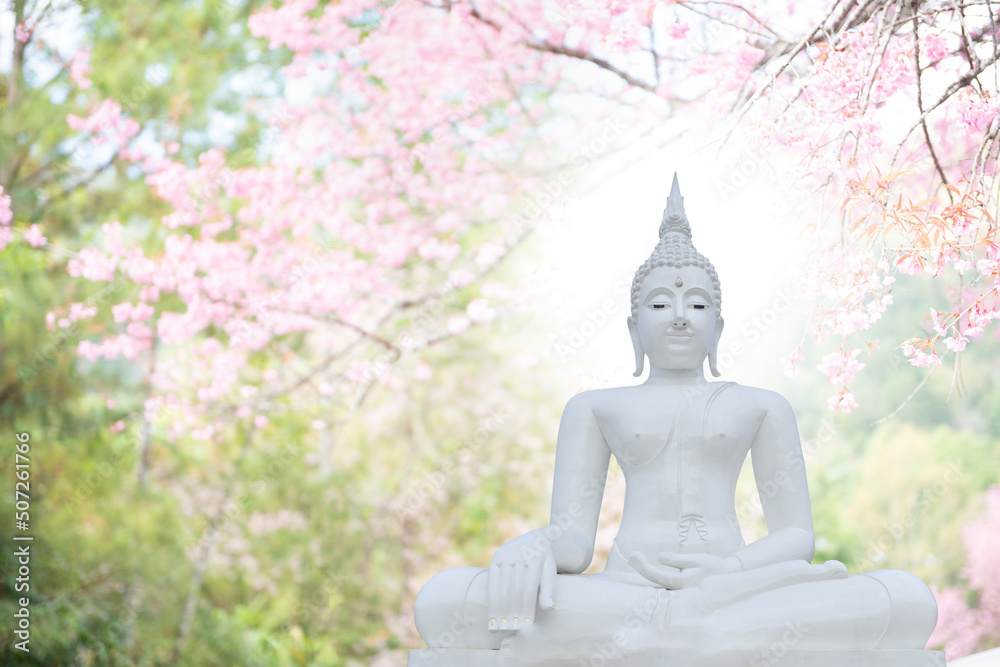 Buddha statue and prunus cerasoides flowers on nature background. Buddha statue and prunus cerasoides flowers on nature background.
