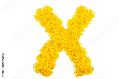 The English alphabet of dandelion flowers. Letter X
