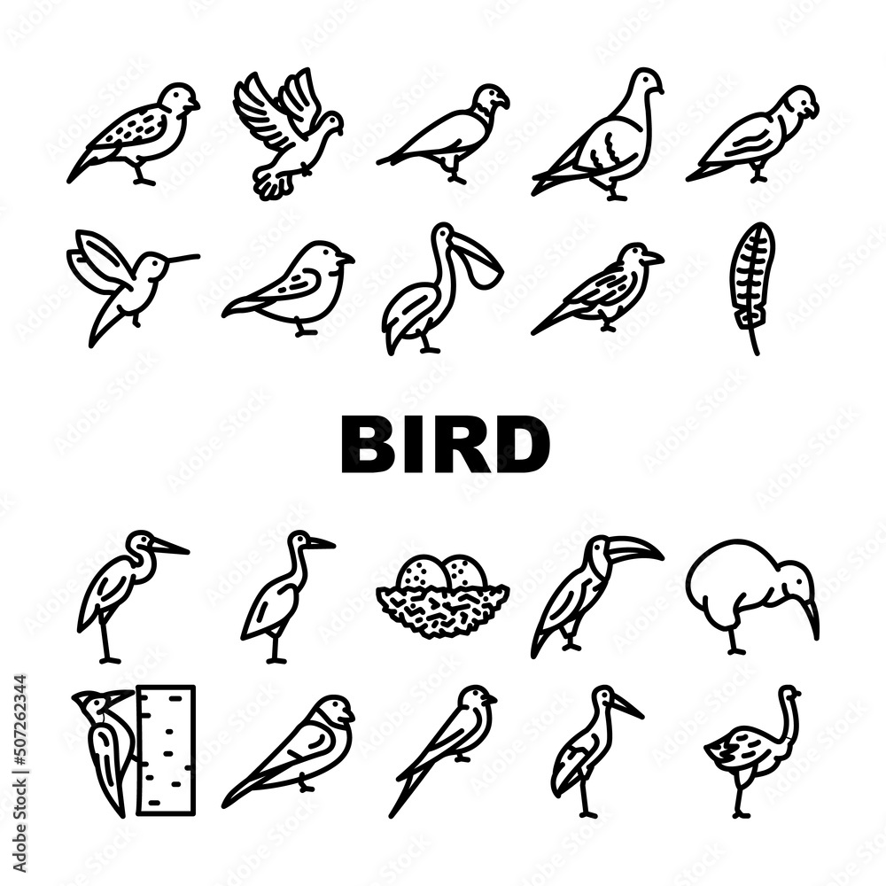 Naklejka premium Bird Flying And Eggs In Nest Icons Set Vector. Toucan And Eagle, Crane And Pelican, Sparrow And Stork Flight Bird. Hummingbird And Woodpecker Wildlife In Nature Black Contour Illustrations
