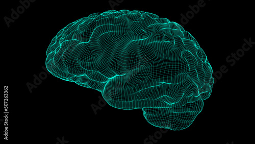 Wireframe brain 3D