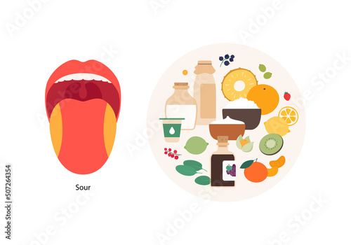 Human five taste infographic. Vector flat modern illustration. Tongue zone map. Sour meal plate product icon set isolated on white background. Fruit, berry, dairy product.