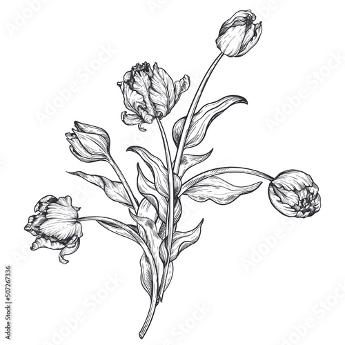 Beautiful hand drawn vector composition with tulip flowers