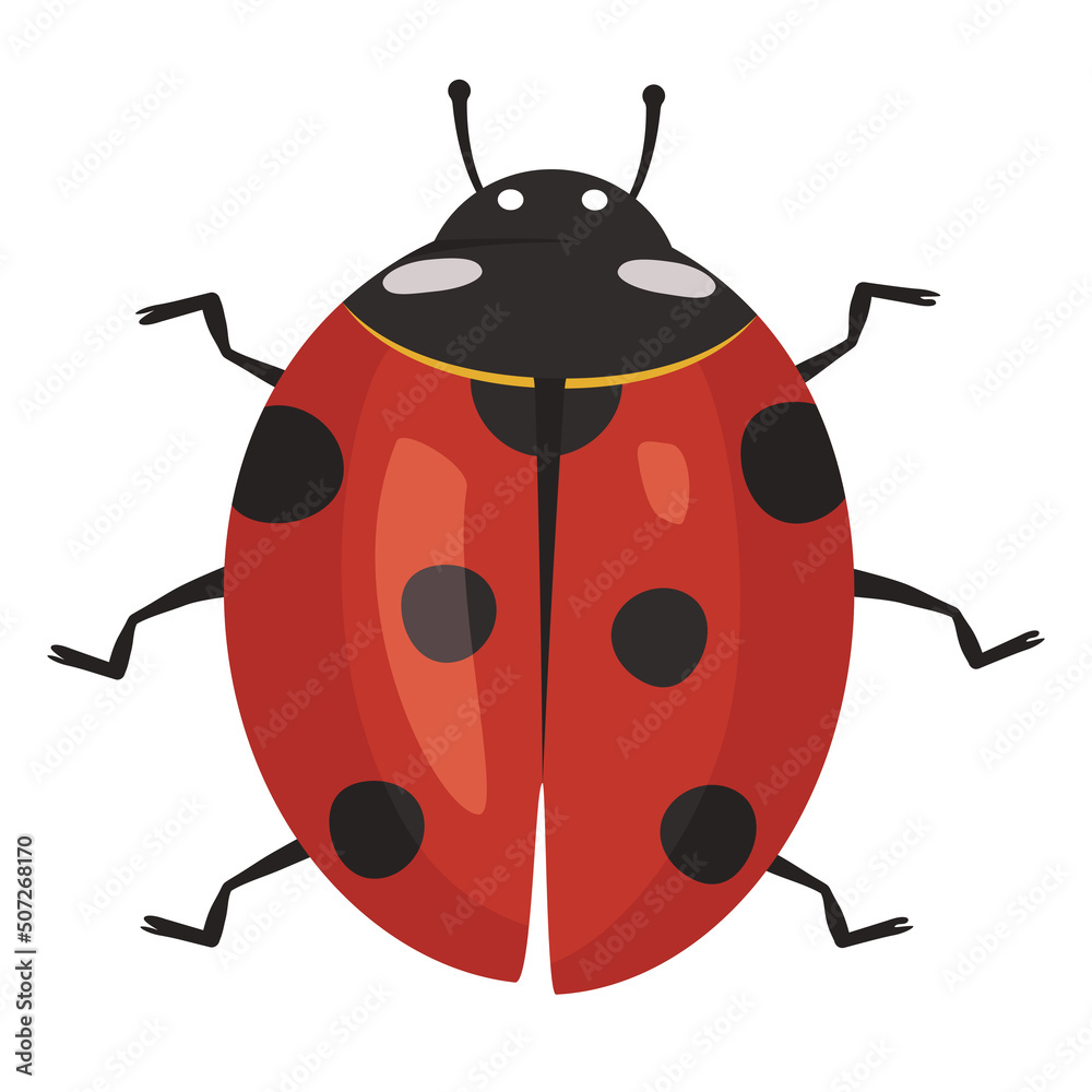 Cute red ladybug icon with black spots. Summer bright insect. Vector flat illustration