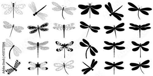 set of dragonfly black silhouette on white background, isolated, vector photo
