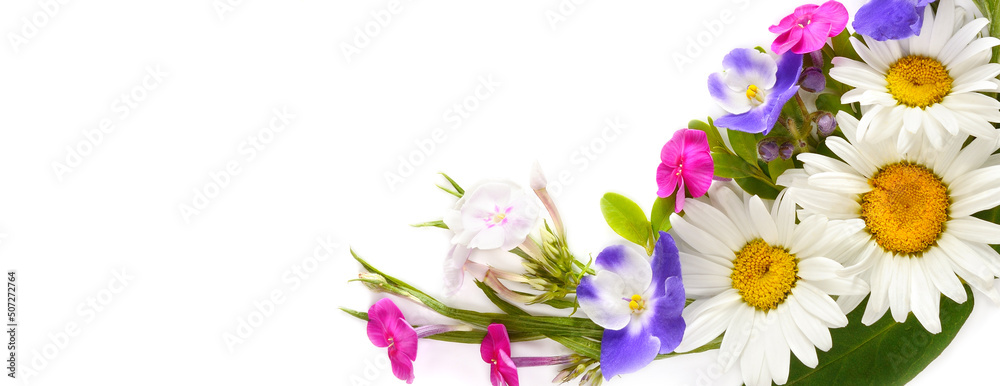 Flower arrangement of daisies, phloxes and violets isolated on white . Place for your text. Wide photo.