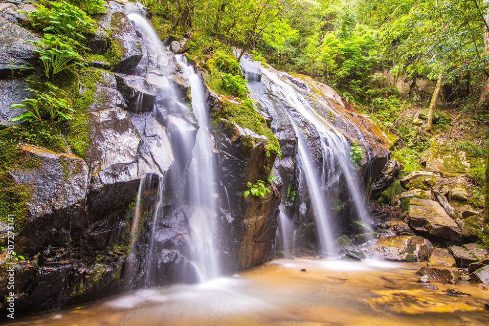 Fototapeta premium 京都府 金引の滝