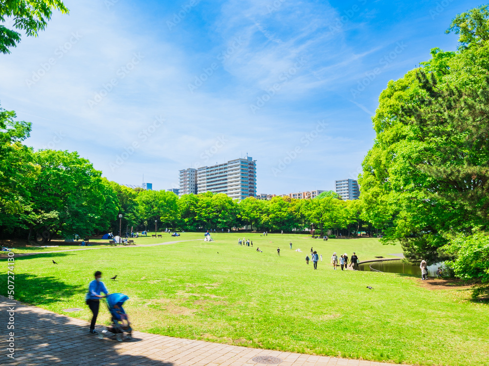 郊外の住宅地 休日の公園