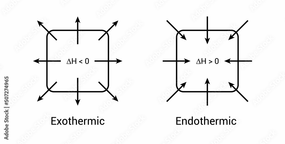 Exothermic and endothermic reactions graphs diagram in chemistry vector