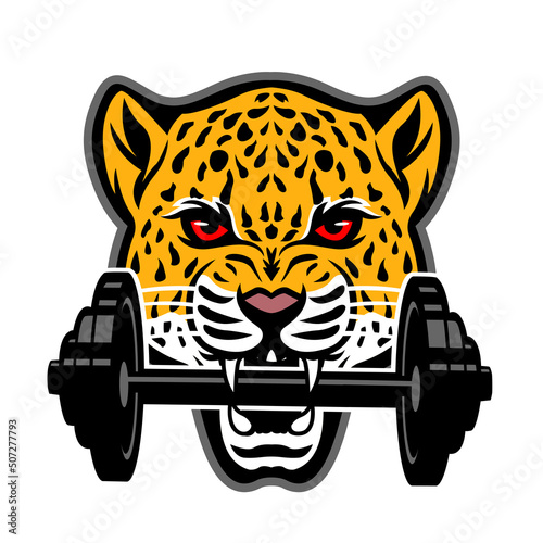 Leopard head with barbell in mouth