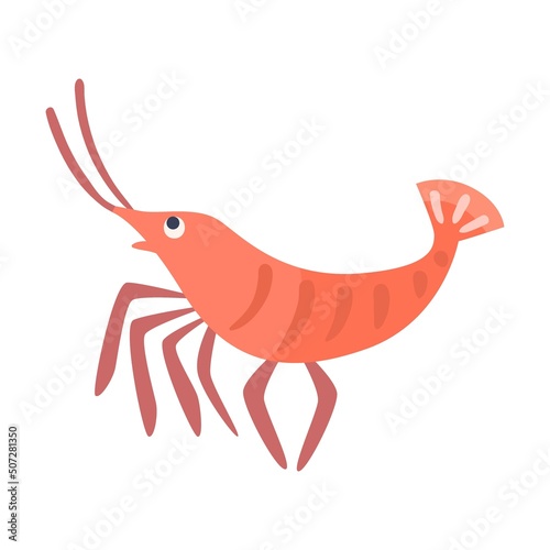 Obraz na plátně Sea shrimp