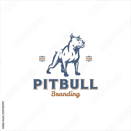 Dog Pit Bull Logo Design Vector Image