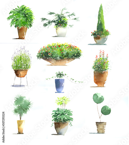 植物　プランター　水彩画