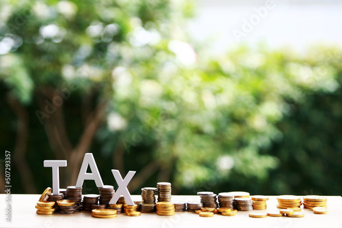 Tax word with coin on tree nature background