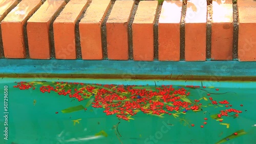 A lot of dirt in the pool.