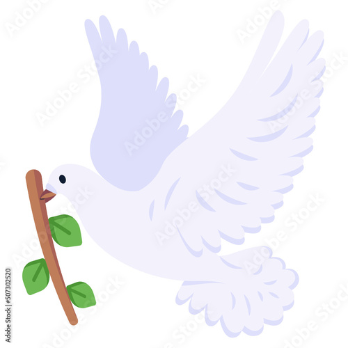 Pigeon 
