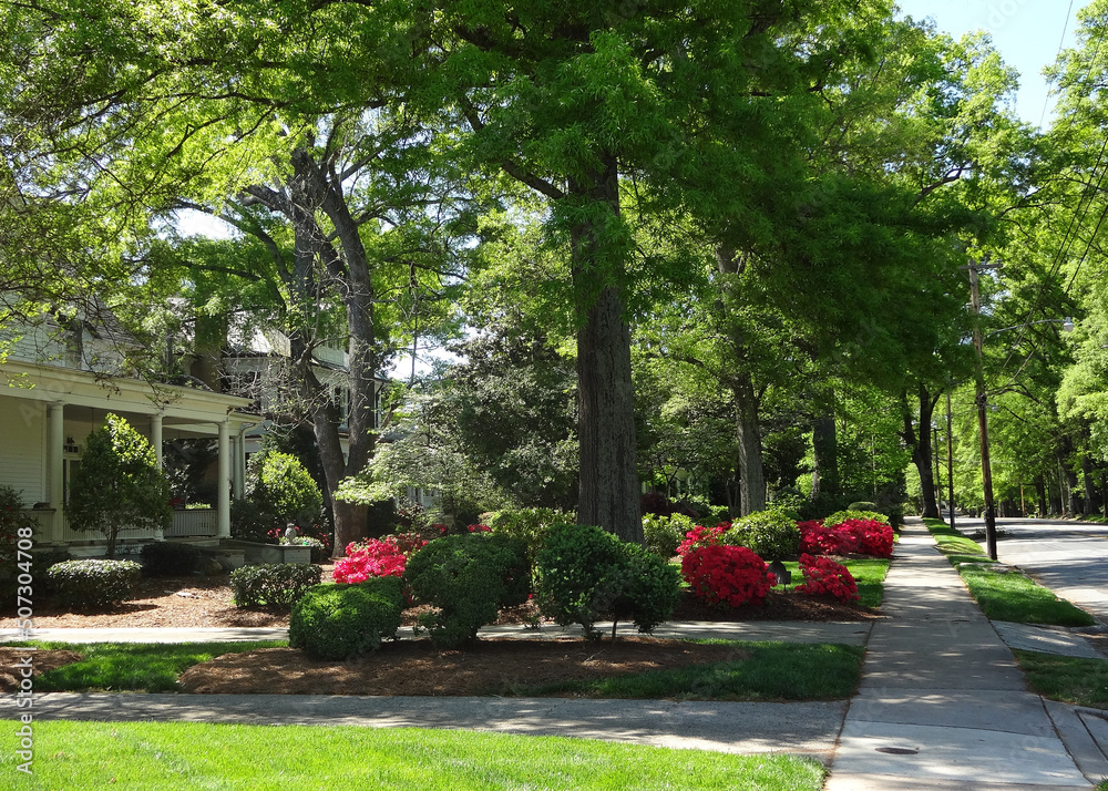 Sidewalks and driveways in the historic neighborhood of Concord, North Carolina on a beautiful Spring day.