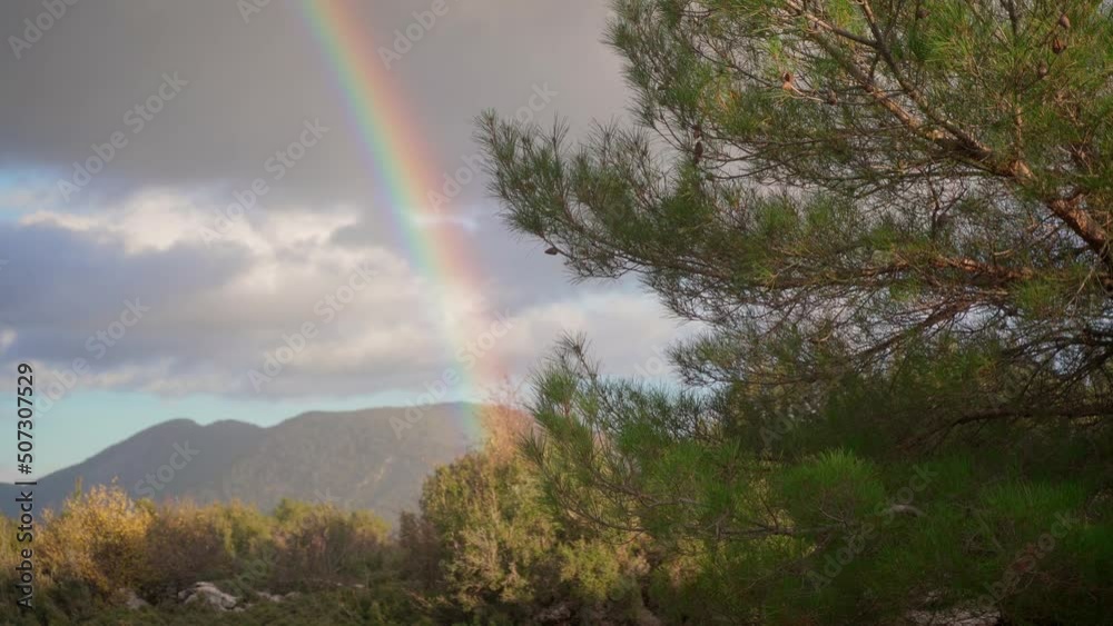 Rainbow in the mountains after the rain. Pine forest in the mountains. Beautiful mountain landscape with rainbow Rainbow in the mountains after the rain. Pine forest in the mountains. Beautiful mountain landscape with rainbow
