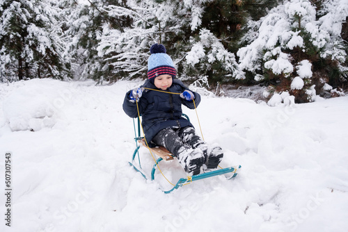 A preschooler boy sleds in a snow-covered forest in the winter