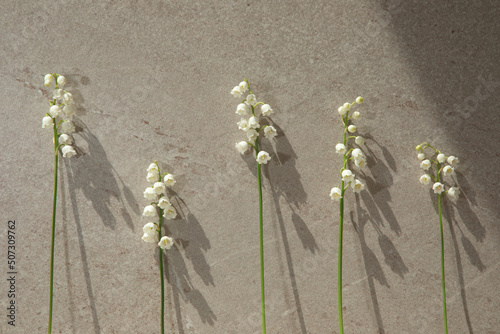 Fotografía Twigs of lilies of the valley with shadows on a beige background